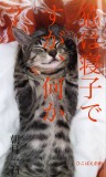 猫は寝子ですが、何か？