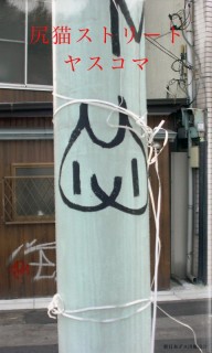 尻猫ストリート