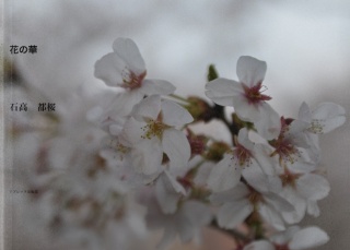 花の華