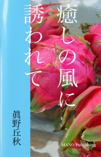 癒しの風に誘われて　――眞野丘秋写真集――