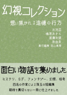 幻視コレクション 想い焦がれる追憶の行方