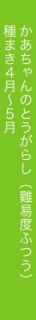 かあちゃんのとうがらし