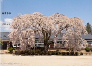 杵原学校