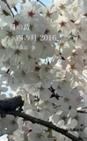 月の詩　四の月 2016