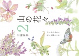 山の花々　２