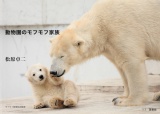 動物園のモフモフ家族（葉書版）