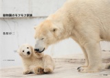 動物園のモフモフ家族（中判版）